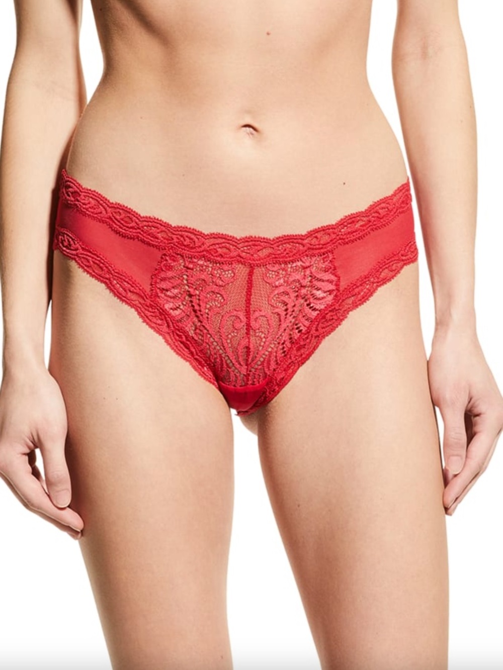 Natori NWOT Feathers Hipster Brief in Bonfire - S
